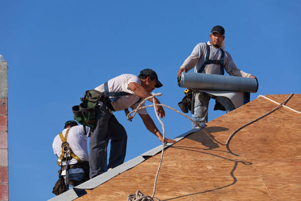 Best Metal Roofing Contractor  in Kettle Falls, WA