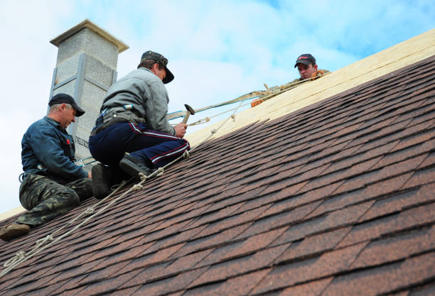 Best Roof Restoration Services  in Kettle Falls, WA